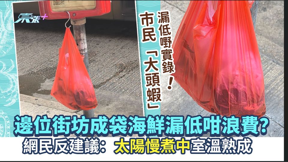 市民「大頭蝦」漏低嘢實錄！邊位街坊成袋海鮮漏低咁浪費？網民反建議：太陽慢煮中室溫熟成 