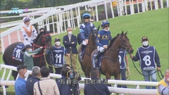 香港國際賽沙田馬場舉行 「0+3」下約三百名海外馬主及騎師等來港