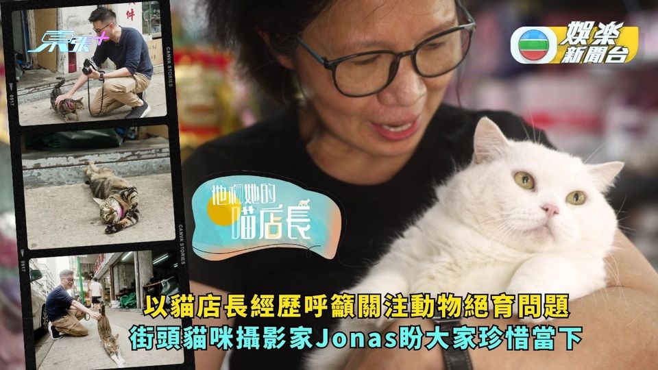 他和她的喵店長丨以貓店長經歷呼籲關注動物絕育問題 街頭貓咪攝影家Jonas盼大家珍惜當下 