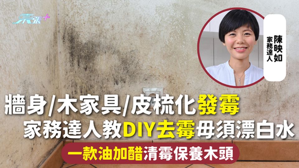 家居發霉 | 牆身/木家具/皮梳化發霉 家務達人教DIY去霉毋須漂白水 一款油加醋清霉保養木頭