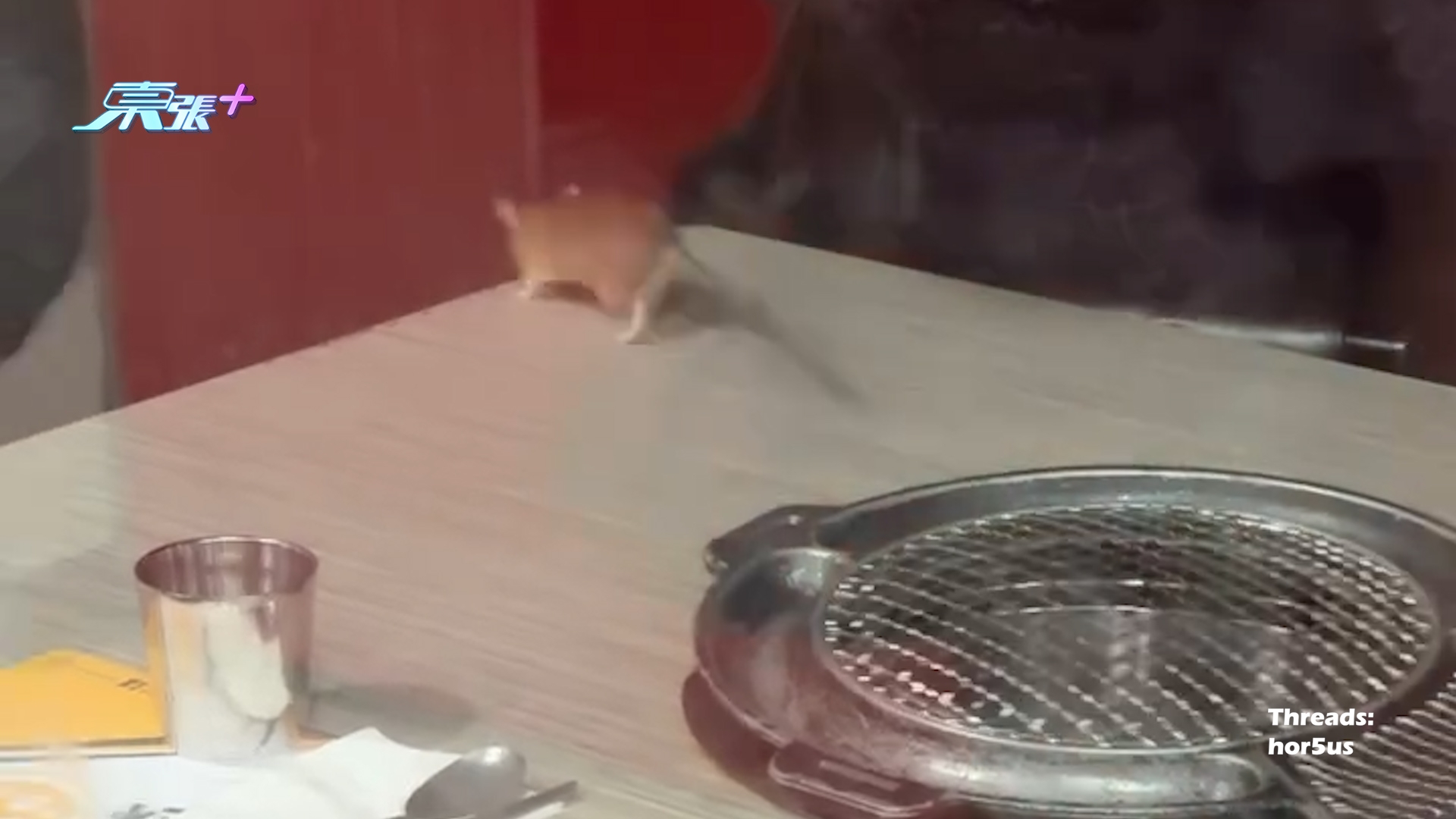 荃新天地韓燒餐廳老鼠出沒走上桌　爬來爬去勁恐怖嚇到片主爆曬粗