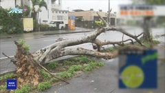 強烈熱帶風暴瑪娃逼近沖繩 數百航班取消或押後