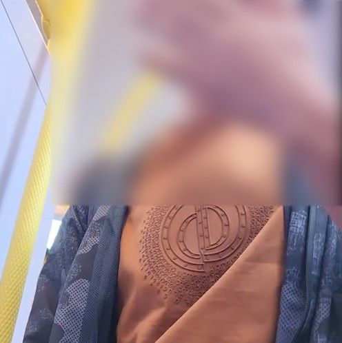 乘客警惕「巴士扒手黨」，驚現疑似小偷開手袋拉鏈更嗆乘客。