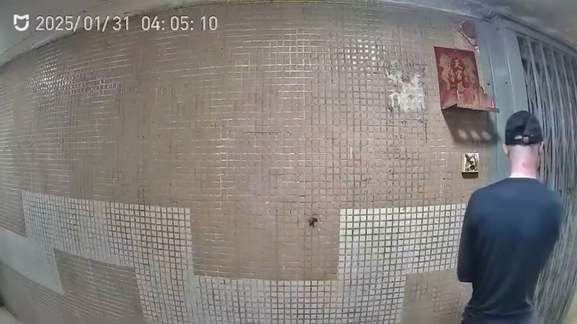 黃大仙下邨年初三現「抹屎男」，住戶鐵閘「抹便」全被拍下。(影片截圖／FB@黃大仙區友)