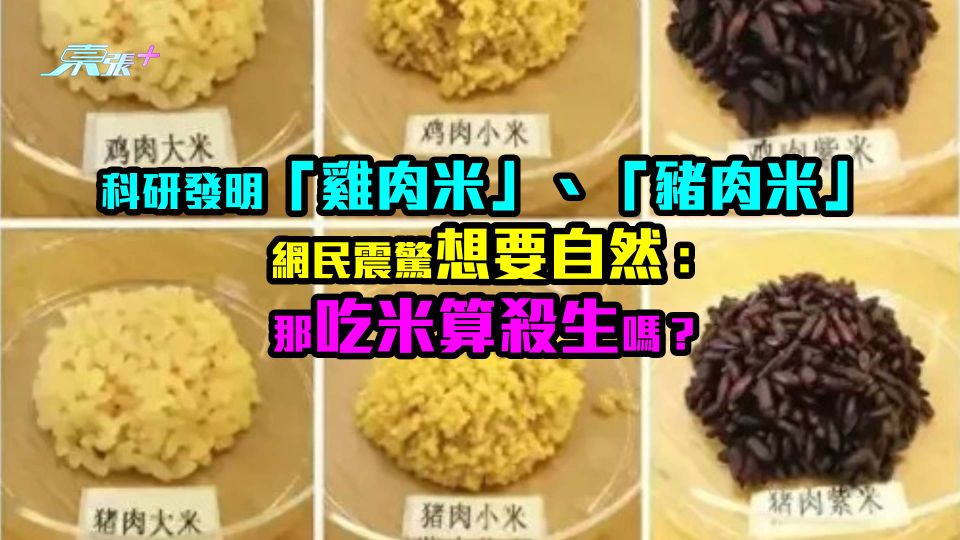 科研發明「雞肉米」、「豬肉米」　網民震驚想要自然：那吃米算殺生嗎？