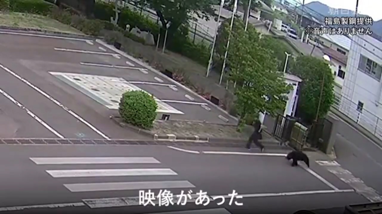 男員工嘗試逃跑擺脫野熊不果，野熊從後把他撲倒，之後跑進旁邊一幢建築物。（Threads影片截圖／@osakapleb）