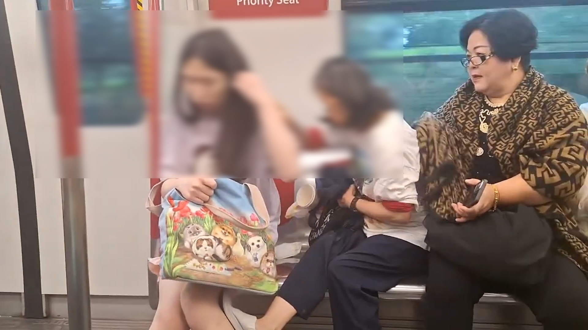 港鐵MMA｜少女坐關愛座遭鄰座「郁手打人」　阿嬸「扯髮踢腳」往死裡打