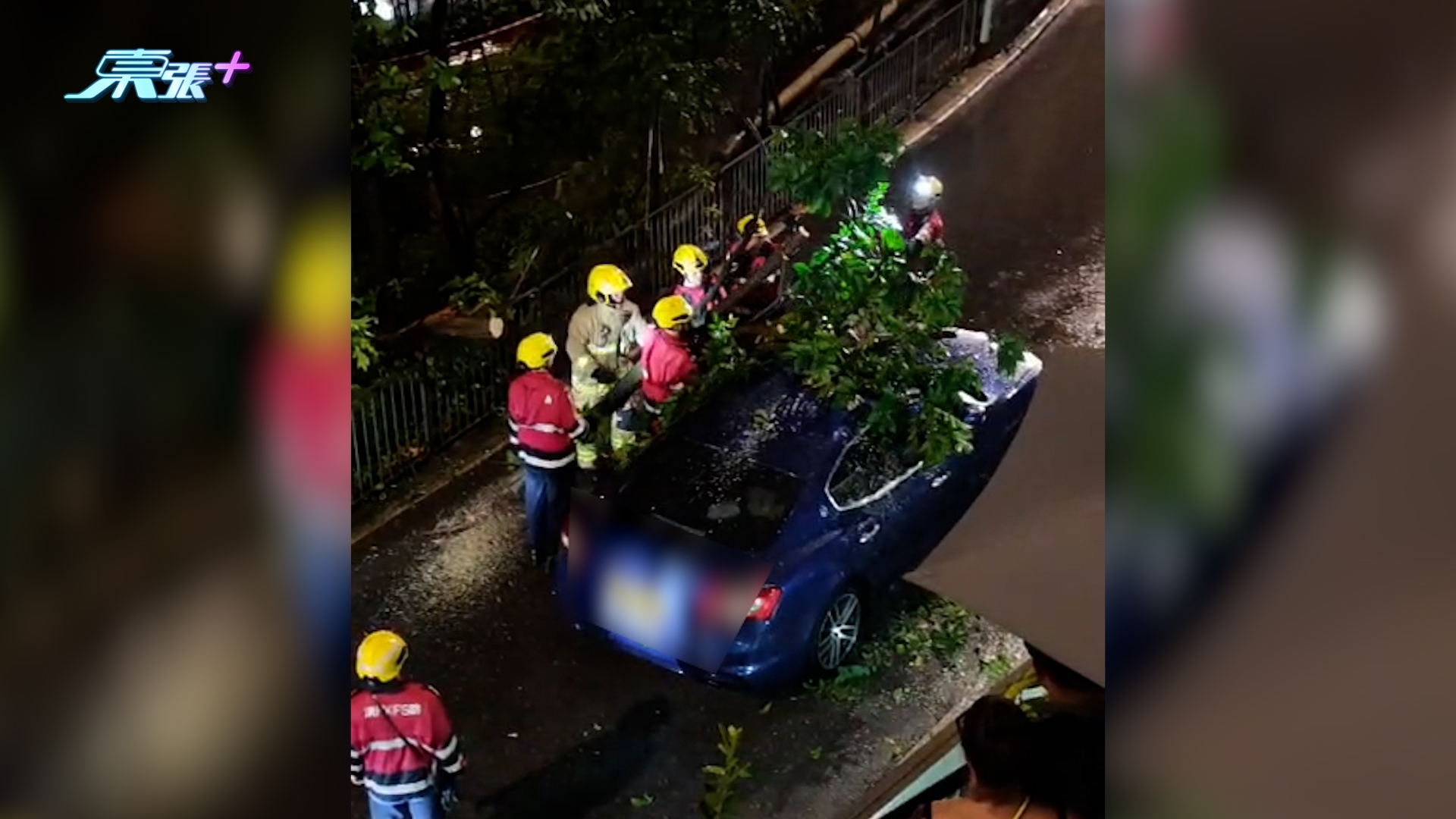 東張西望報料｜紅雨下好驚險！半山大樹疑遭雷擊倒塌壓車　觀眾直擊事發一刻 （陳女士（化名）提供東張）