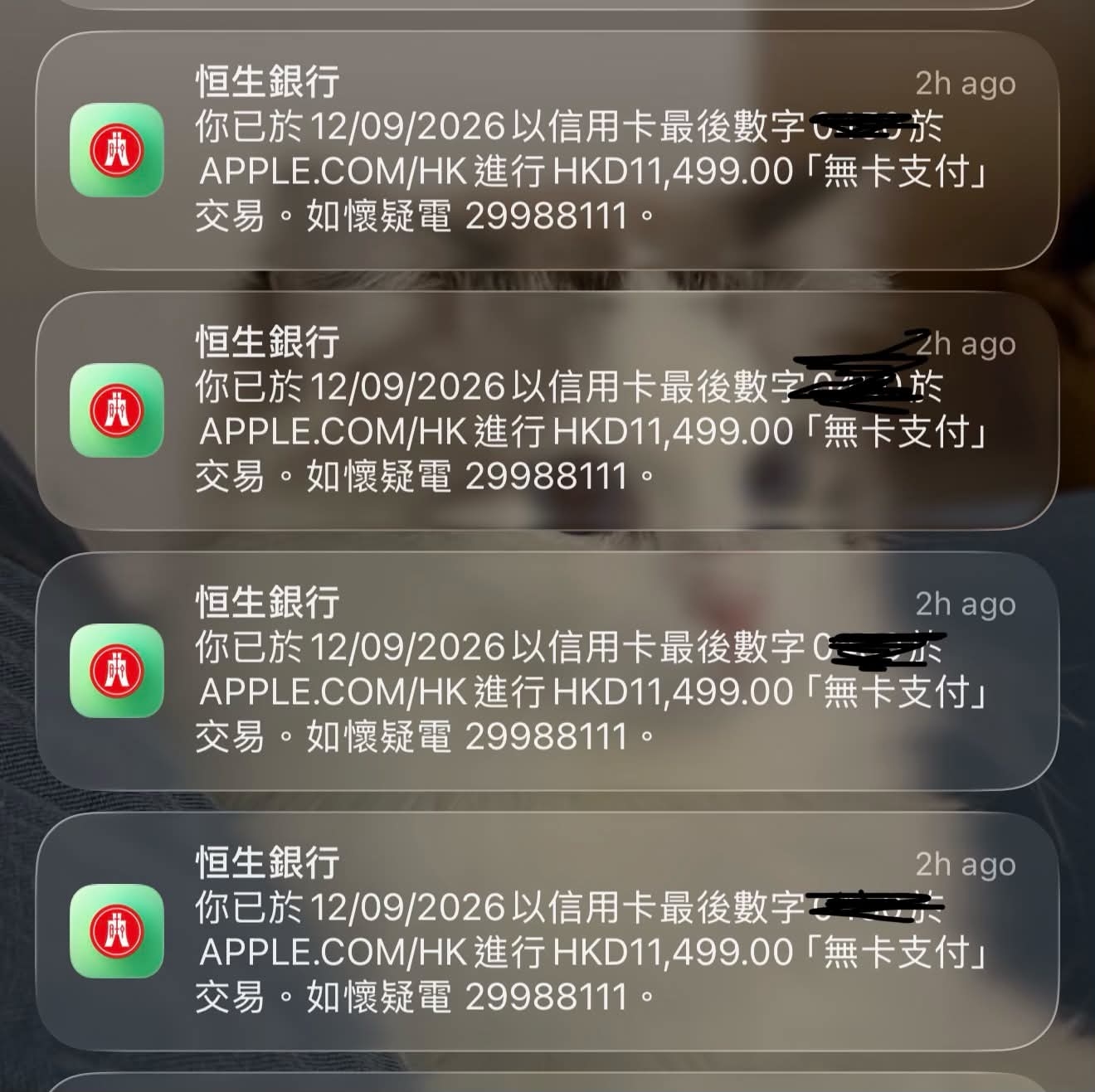 東張西望跟進｜iPhone 18 Pro預購大量信用卡「疑遭詐騙」　網民：俾人碌咗4次 （threads＠ann.csy）