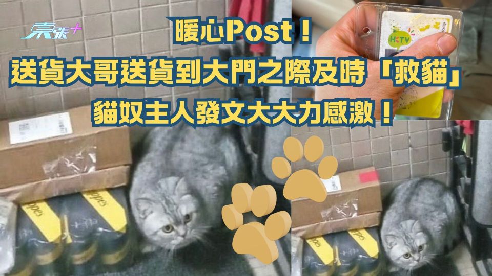 暖心Post！送貨大哥送貨到大門之際及時「救貓」 貓奴主人發文大力感激！附速遞員窩心回應獲激讚