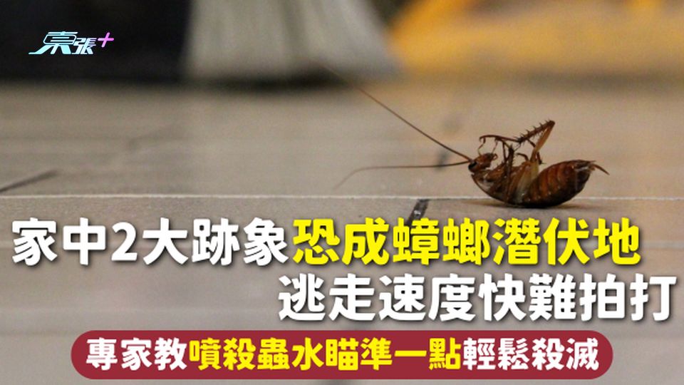 蟑螂入屋 | 家中2大跡象恐成蟑螂潛伏地 逃走速度快難拍打 專家教噴殺蟲水瞄準一點輕鬆殺滅
