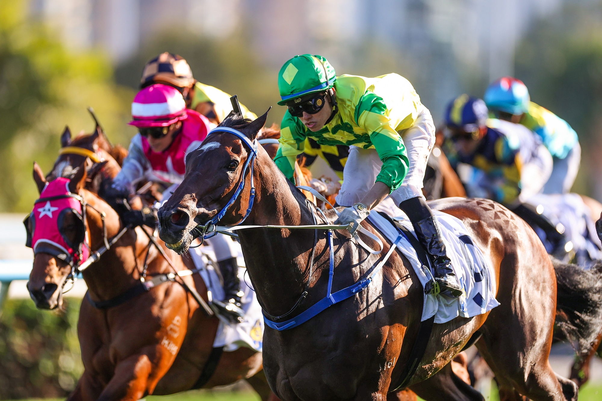初三「赤口」賽馬日　馬場人頭湧湧 (資料圖片／香港賽馬會)