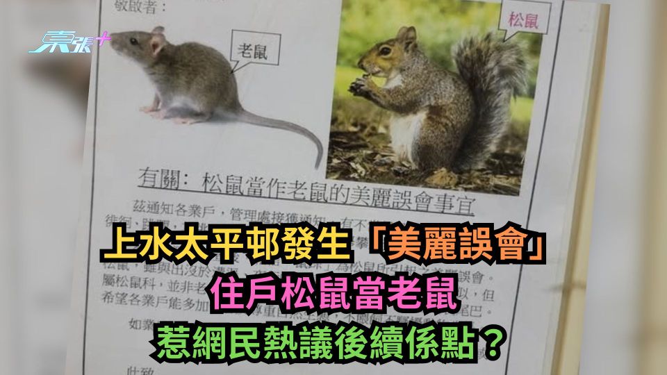 上水太平邨發生「美麗誤會」住戶松鼠當老鼠　惹網民熱議後續係點？