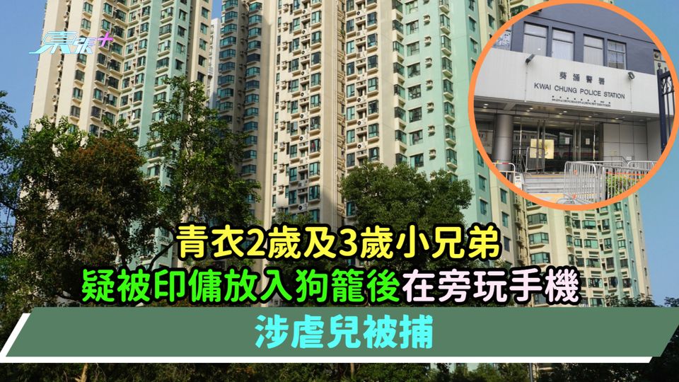 青衣2歲及3歲小兄弟疑被印傭放入狗籠後在旁玩手機  涉虐兒被捕
