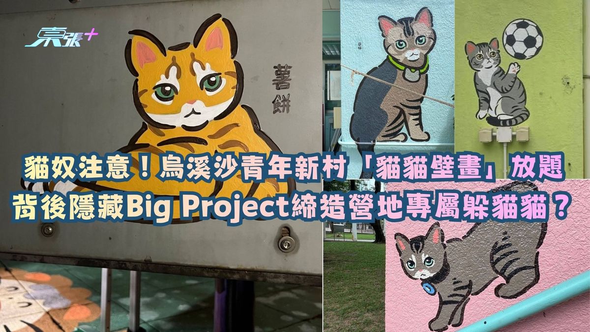 貓奴注意！烏溪沙青年新村「貓貓壁畫」放題！背後隱藏大Project締造營地專屬躲貓貓？