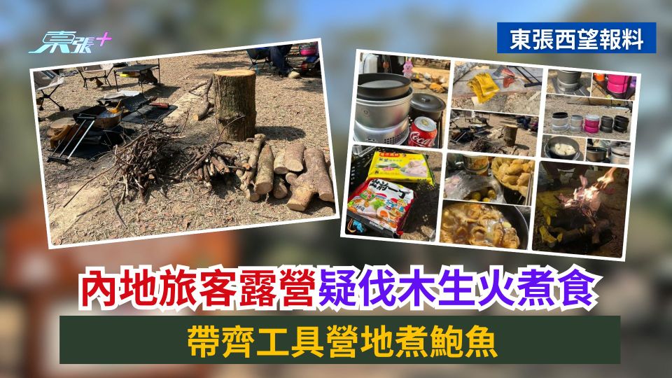 東張西望報料｜內地旅客露營疑伐木生火煮食　帶齊工具營地煮鮑魚