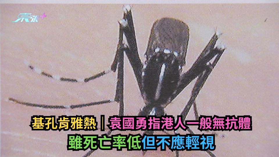 基孔肯雅熱｜袁國勇指港人一般無抗體　雖死亡率低但不應輕視
