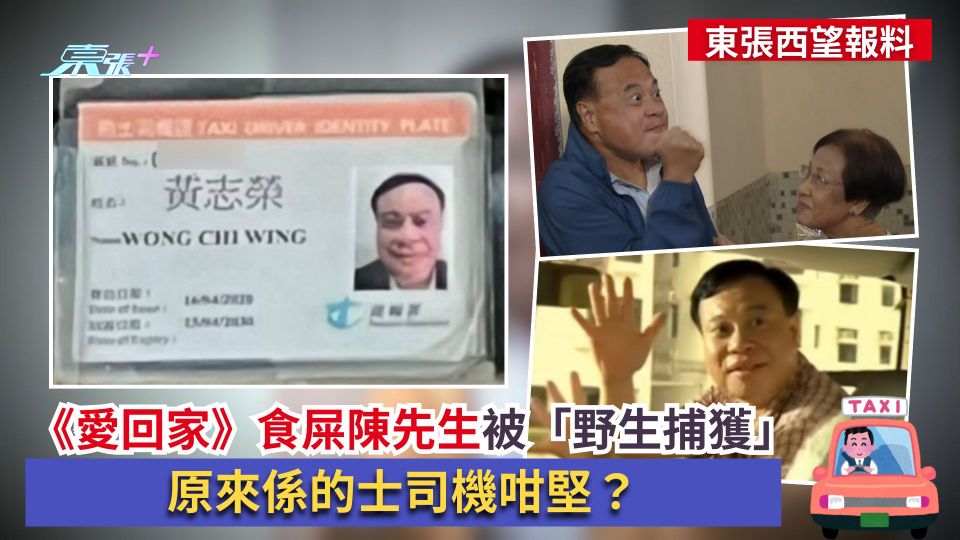 東張西望報料｜《愛回家》食屎陳先生被「野生捕獲」　原來係的士司機咁堅？