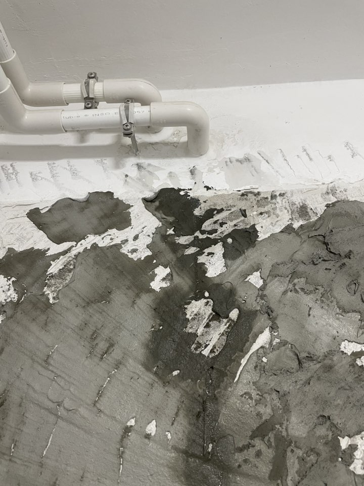 No photo description available.