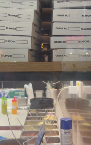 紅磡Pizza店曱甴周圍走