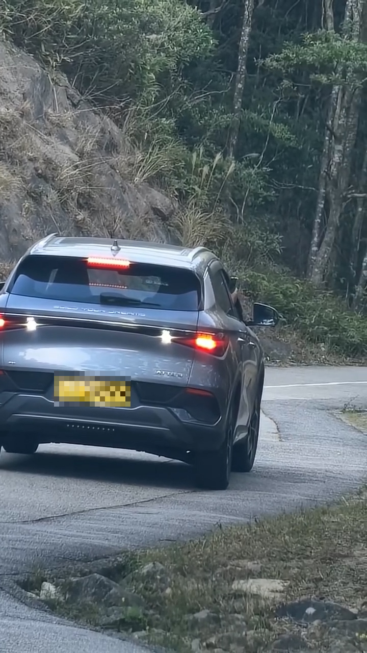 涉事男子與野豬經過短暫對峙後，登上私家車駕駛座，發動汽車並開始移動，期間拿出手機，似是正從車窗拍攝該隻野豬。（網上影片截圖）