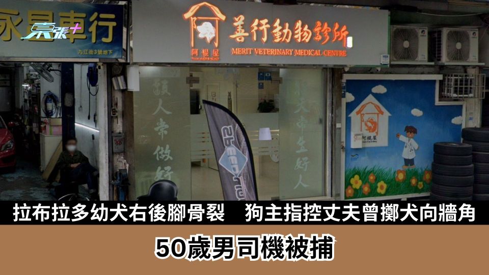 虐待動物｜拉布拉多幼犬右後腳骨裂　女狗主指控丈夫曾擲犬向牆角　50歲男司機被捕