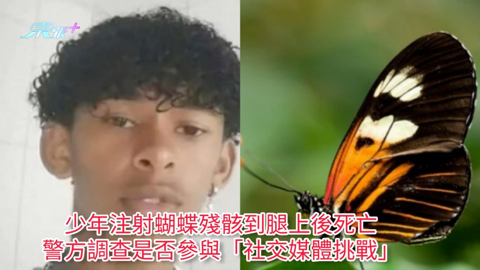 少年注射蝴蝶殘骸到腿上後死亡 警方調查是否參與「社交媒體挑戰」