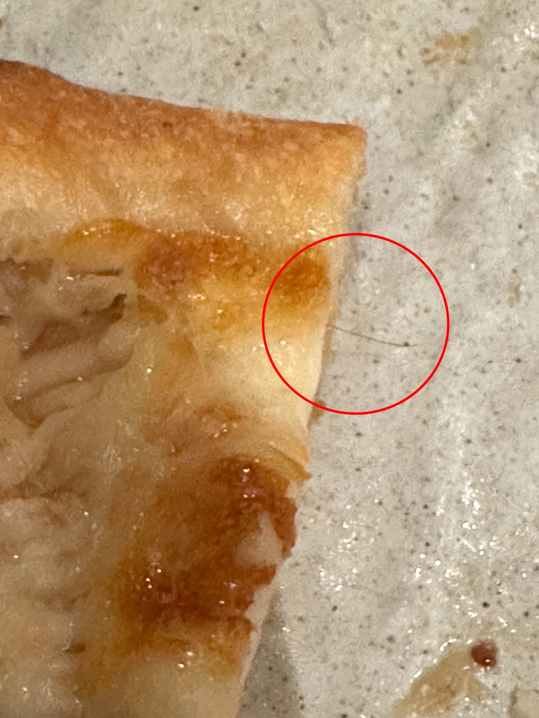 東張西望報料｜荃灣如心廣場食肆驚現老鼠　Pizza內發現毛髮　報料人憂衞生問題 （觀眾李小姐報料）