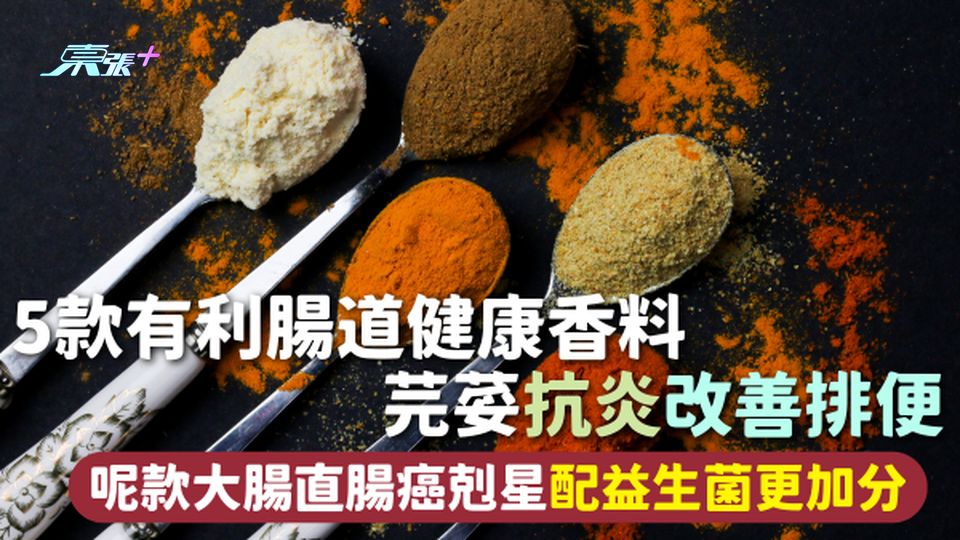 健康香料 | 5款有利腸道健康香料 芫荽抗炎改善排便 呢款大腸直腸癌剋星配益生菌更加分 