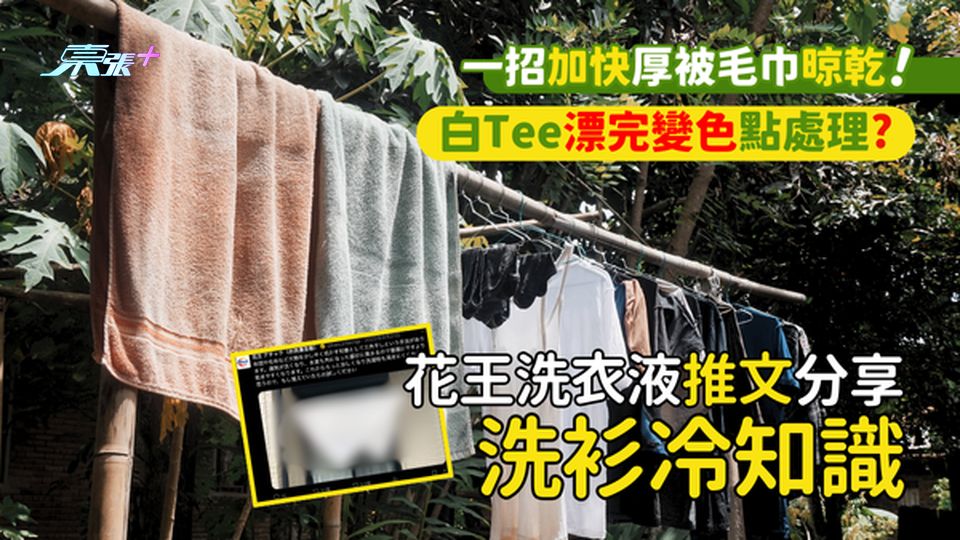 📣花王洗衣液推文分享洗衫🧺冷知識📣  一招加快厚被毛巾晾乾🧴｜白Tee漂完🚿變色點處理？