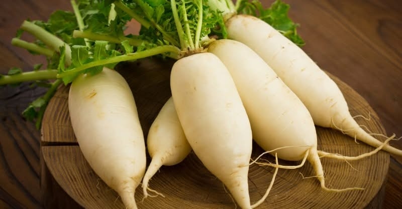 蘿蔔性寒，為何冬天更應該吃？中醫師告訴你：不怕越吃越虛，進補「這樣搭」反而補水又益腎