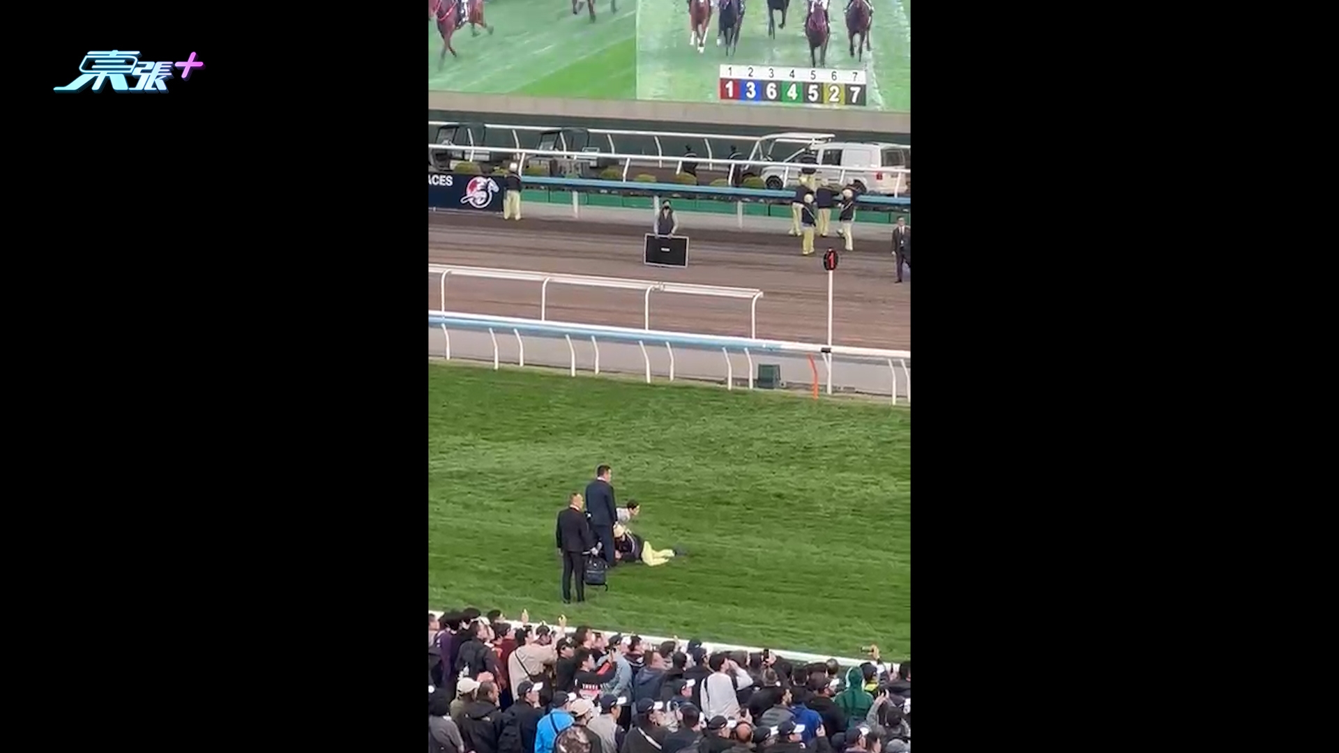 沙田馬場有人衝入跑道，保安及時制止無人受傷。
