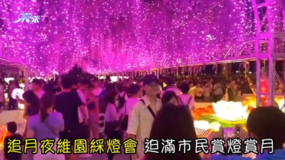 有片｜追月夜維園綵燈會 迫滿市民賞燈賞月