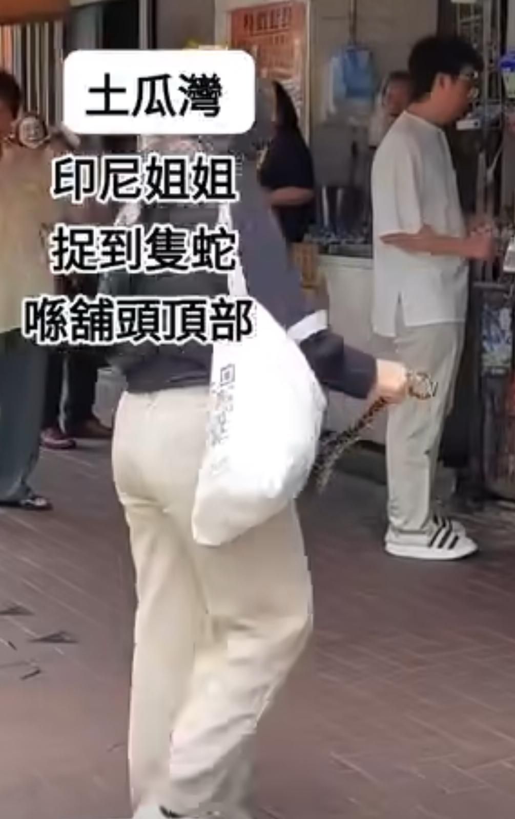 土瓜灣印尼姐姐徒手捉蛇