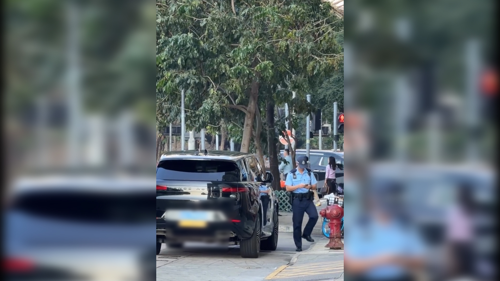 粵車南下｜內地司機來港亂泊車停馬路被警員「抄牌」　網民：多謝貢獻香港