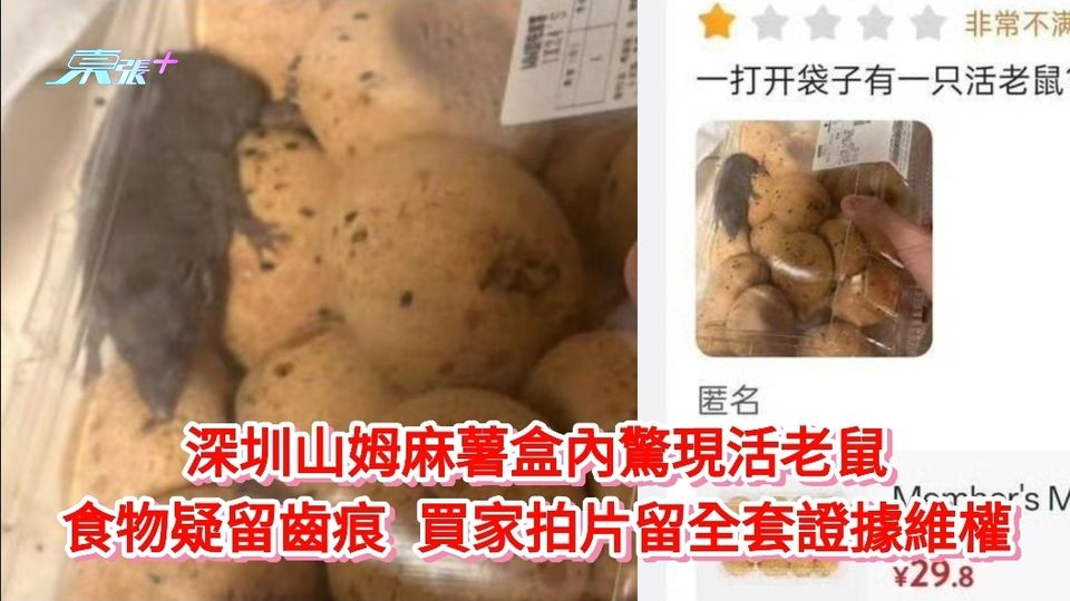 深圳山姆麻薯盒內驚現活老鼠 食物疑留齒痕 買家拍片留全套證據維權