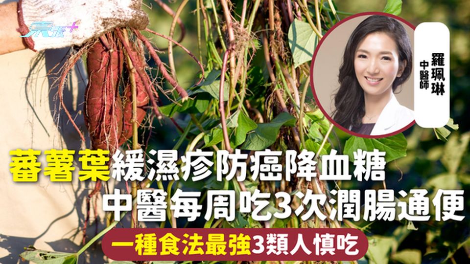 蕃薯葉 | 緩濕疹防癌降血糖 中醫每周吃3次潤腸通便 一種食法最強3類人慎吃