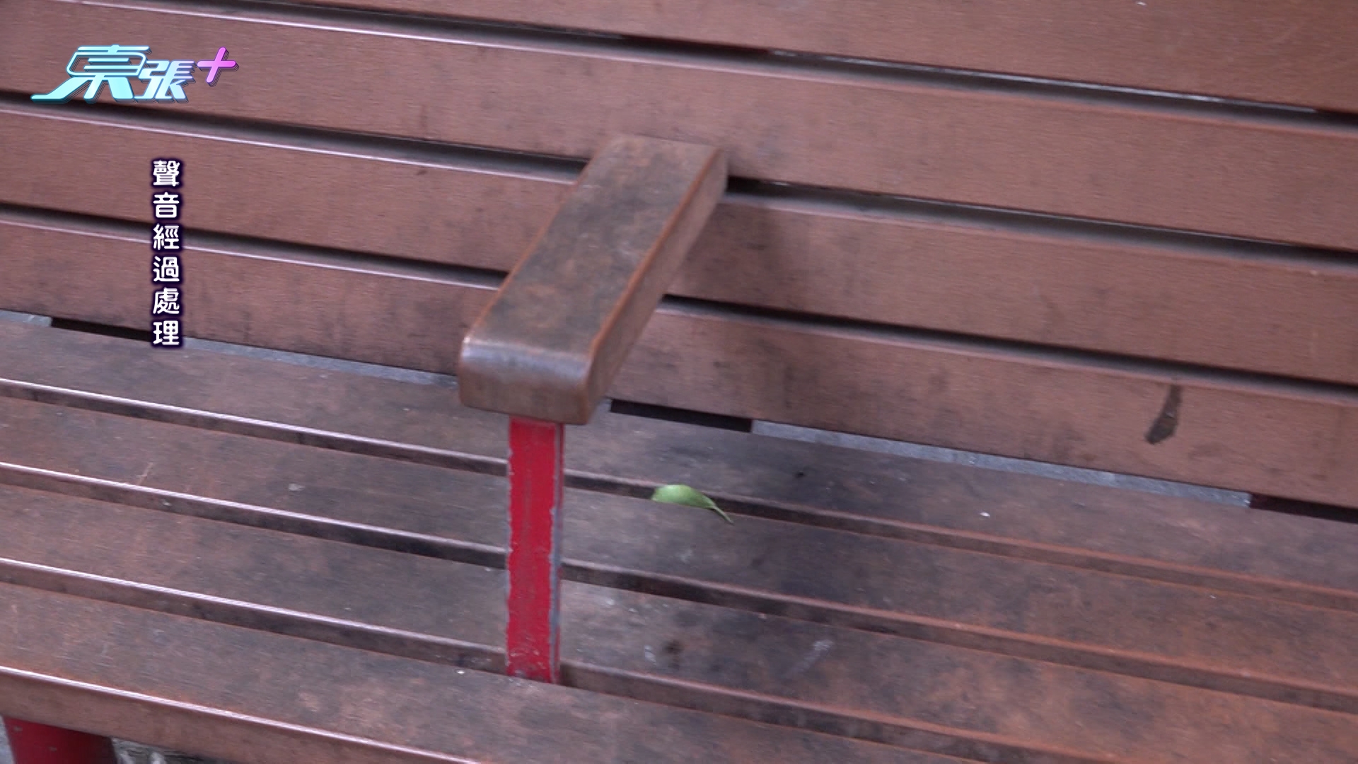 東張西望｜藍田清潔工「做樣」照相不認真清潔　觀眾報《東張》籲政府正視漏洞