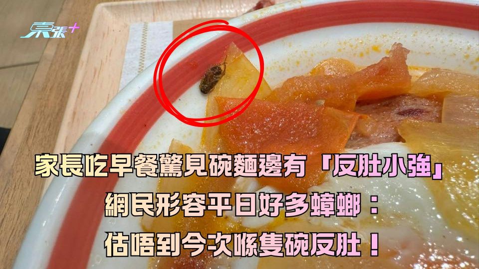 家長吃早餐驚見碗麵邊有「反肚小強」好反胃！網民形容平日好多蟑螂：估唔到今次喺隻碗反肚！