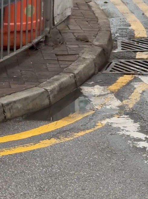 大埔街頭驚變「迪士尼樂園」嚇怕街坊