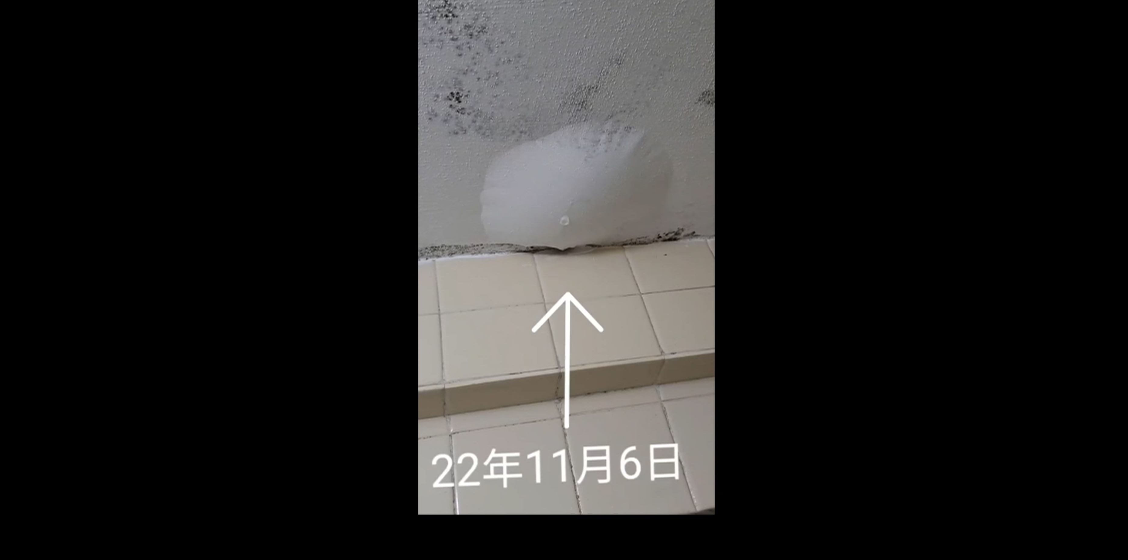 近日一名居住在觀塘順緻苑的陳女士向《東張》投訴，指其單位天花滲水問題長達三年，目前漏水情況已蔓延至全屋電路，導致電力系統癱瘓並隨時面臨火災風險。