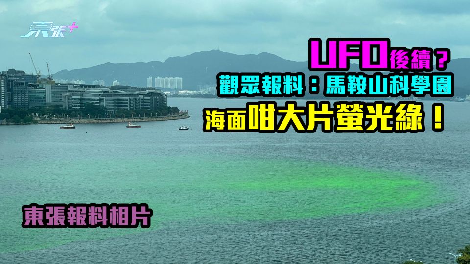 東張報料｜UFO後續？觀眾報料：馬鞍山科學園海面咁大片螢光綠！