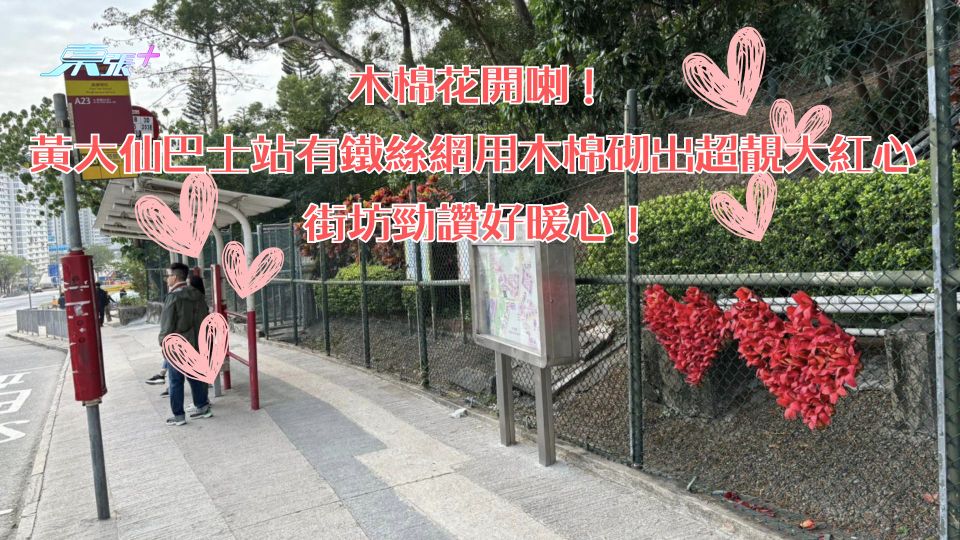 木棉花開喇！黃大仙有鐵絲網用木棉砌出超靚大紅心 街坊勁讚好暖心！