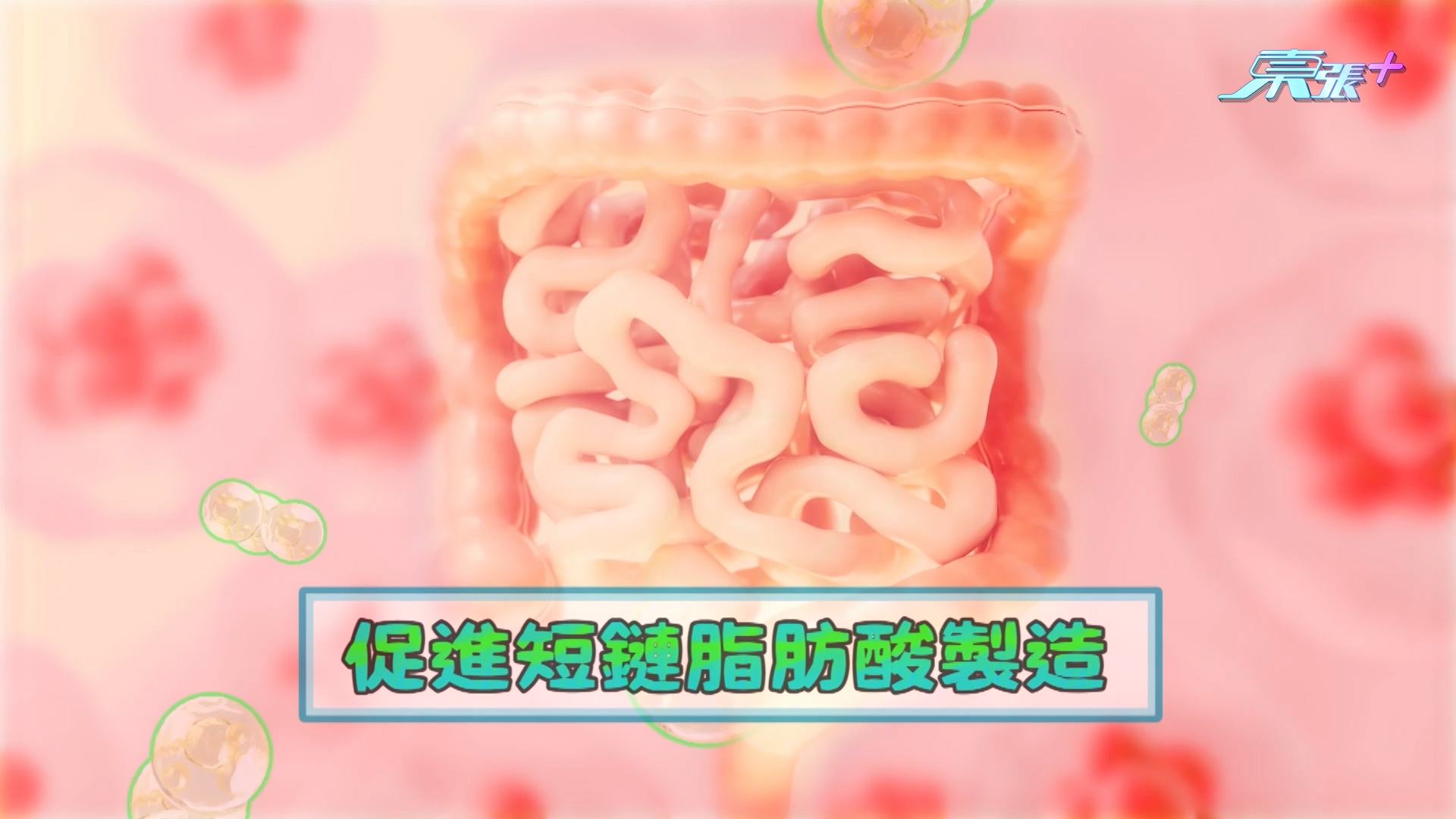 註冊藥劑師Terrence表示，益生菌的確可以幫助修身。他指出，只要補充合適益生菌，例如「比菲德氏菌」，就可以平衡腸道內好菌及壞菌的比例，「可以促進短鏈脂肪酸（SCFA）製造，加強我哋身體嘅代謝，幫助抑制脂肪嘅消化同吸收，可以軟化宿便、排腸毒，更可以減少內臟脂肪嘅積聚。」