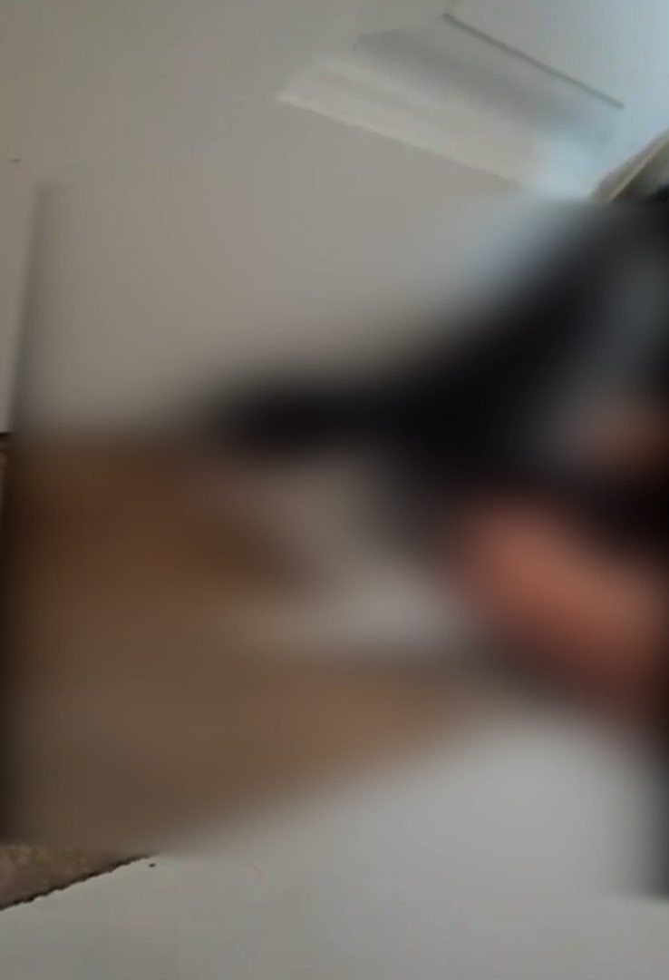 內地多個貓義工及動物救援微信群組突遭不明人士湧入，他們發送大量涉及虐打、焚燒、肢解，甚至性侵貓隻的影片、照片。（網上影片截圖）