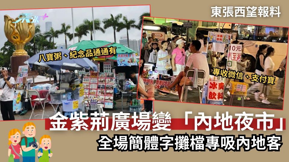 東張西望報料｜金紫荊廣場變「內地夜市」全場簡體字攤檔　八寶粥紀念品通通有