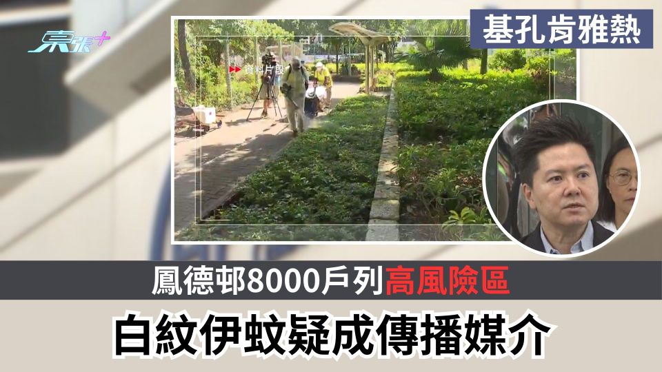基孔肯雅熱｜鳳德邨8000戶列高風險區　白紋伊蚊疑成傳播媒介