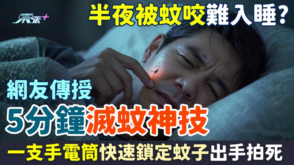 滅蚊｜半夜被蚊咬好難入睡？網友傳授「5分鐘滅蚊神技」靠一支手電筒快速鎖定蚊子出手拍死