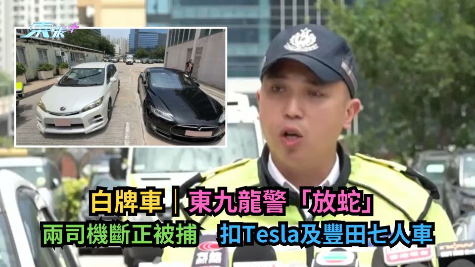 白牌車｜東九龍警「放蛇」兩司機斷正被捕　扣Tesla及豐田七人車