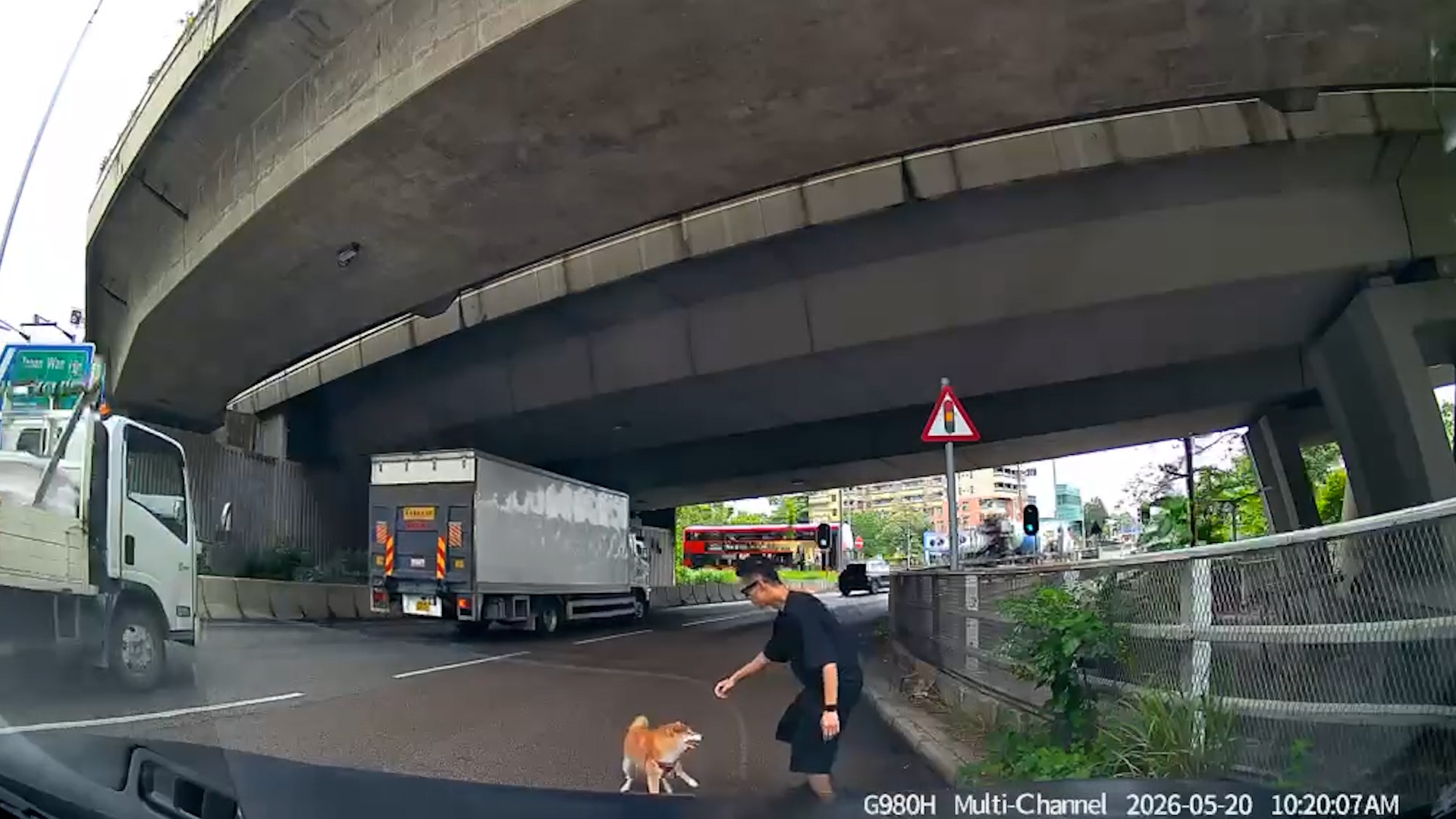 車Cam直擊｜好人好事！元朗柴犬誤闖迴旋處險被撞　司機落車徒手捉狗救命 （FB@車cam L（香港群組））